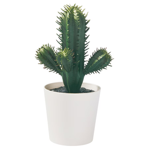 FEJKA CACTUS 6cm