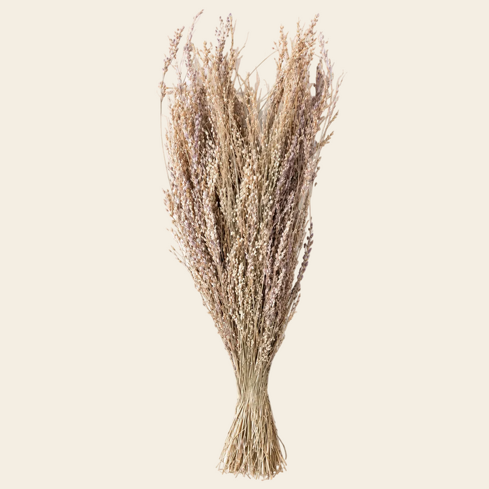 Ramo decorativo Grasse Colores Naturales