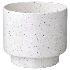 DRAKFRUKT MACETA GRIS